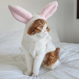 Bunny Costume